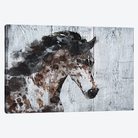 Wild Running Horse VII Canvas Print #ORL784} by Irena Orlov Canvas Wall Art