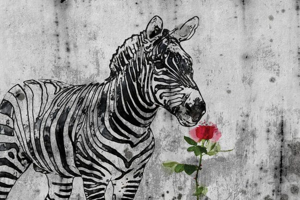 Similar To Banksy: Rustic Zebra II by Irena Orlov
