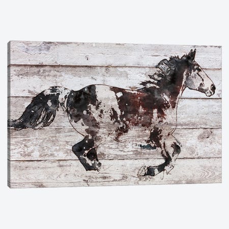 Running Arabian Horse Canvas Print #ORL810} by Irena Orlov Canvas Print