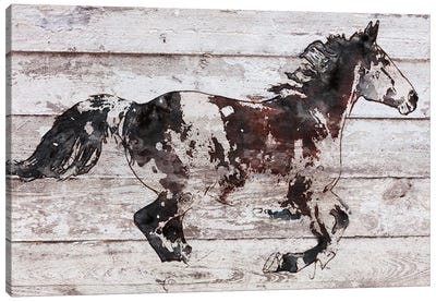 Running Arabian Horse Canvas Art Print - Irena Orlov
