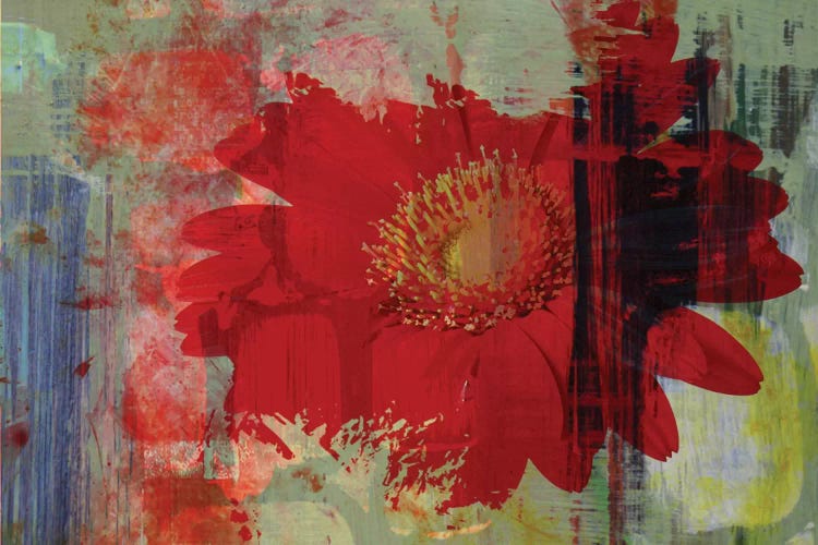 Exposure by Irena Orlov wall art
