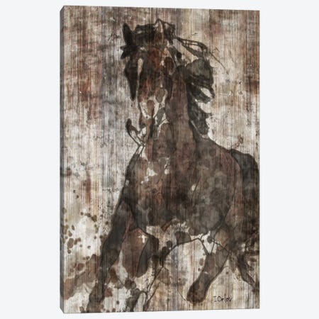 Galloping Horse Canvas Print #ORL83} by Irena Orlov Canvas Wall Art