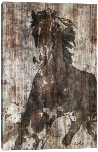 Galloping Horse Canvas Art Print - Irena Orlov