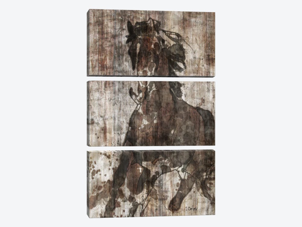 Galloping Horse by Irena Orlov 3-piece Art Print