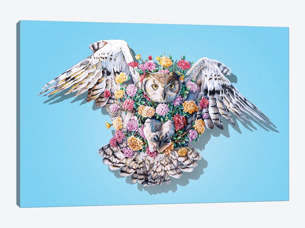 Owl by James Ormiston 1-piece Canvas Artwork
