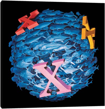X Marks The Spot Canvas Art Print - James Ormiston