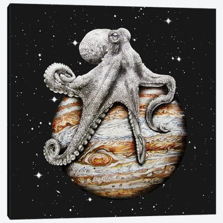 Celestial Cephalopod Canvas Print #ORM2} by James Ormiston Canvas Artwork