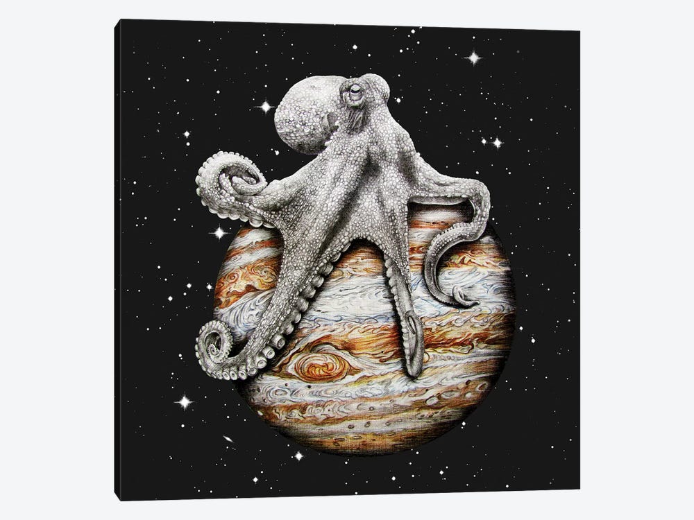 Celestial Cephalopod by James Ormiston 1-piece Canvas Art Print