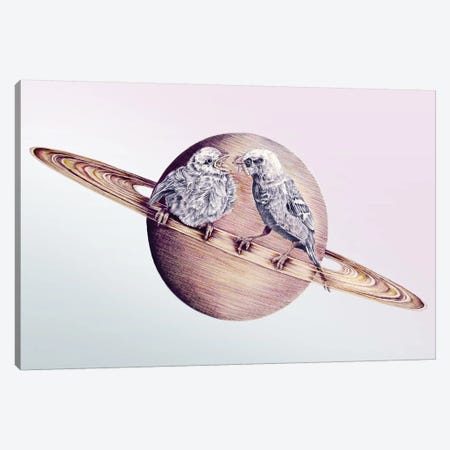In Which Bird Watching May Require The Aid Of A Telescope Canvas Print #ORM6} by James Ormiston Art Print