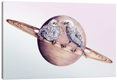 In Which Bird Watching May Require The Aid Of A Telescope Canvas Art Print