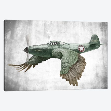Its A Bird Its A Plane Canvas Print #ORM7} by James Ormiston Canvas Print