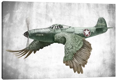Its A Bird Its A Plane Canvas Art Print - James Ormiston