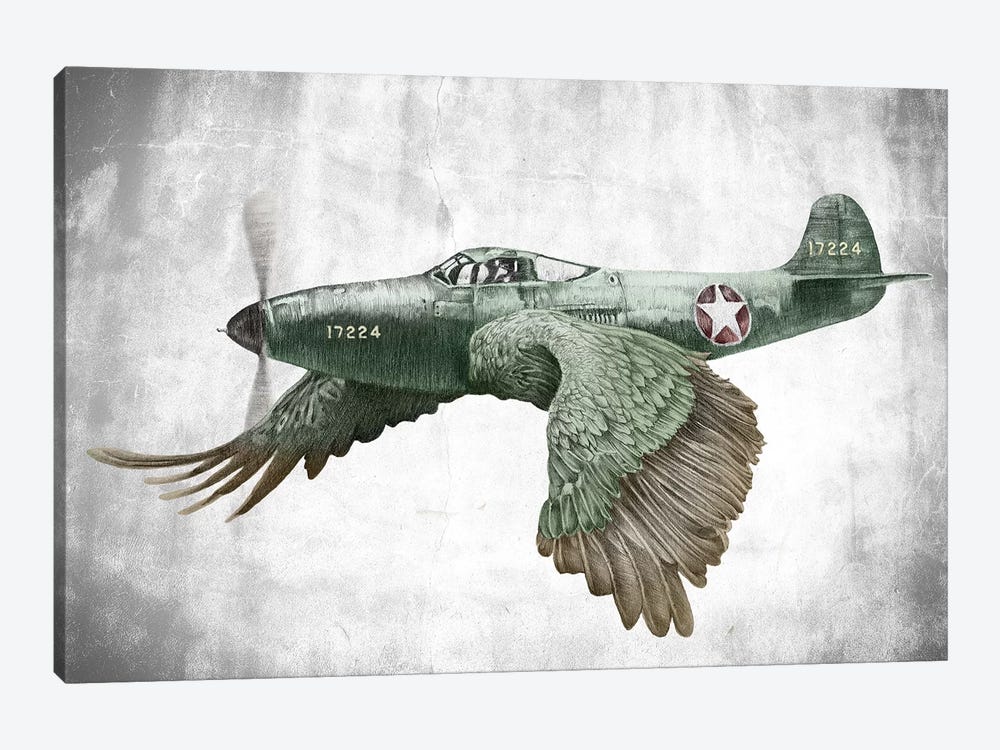 Its A Bird Its A Plane by James Ormiston 1-piece Canvas Artwork