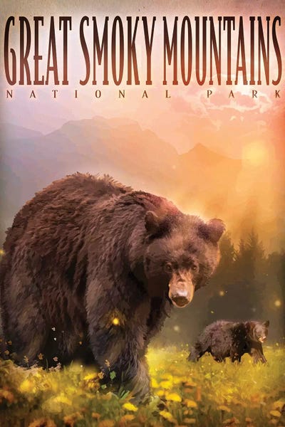 Bears: Smokey Mountain Bears by Old Red Truck