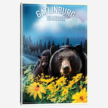 Gatlinburg, Tennessee Canvas Print #ORT31} by Old Red Truck Canvas Art Print