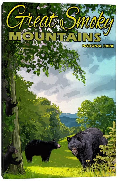 Smokey Mountains II Canvas Art Print - Great Smoky Mountains National Park Art