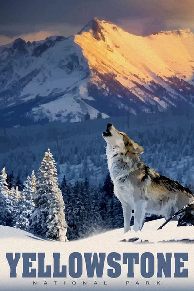 Wolves: Yellowstone Wolf by Old Red Truck