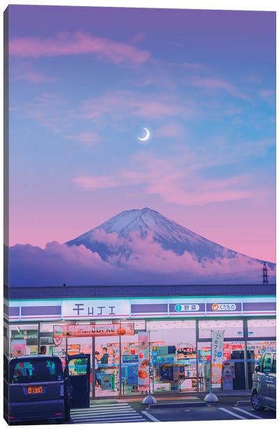 Fuji III Canvas Art Print - Danner Orozco