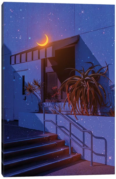 Moonlight II Canvas Art Print - Danner Orozco