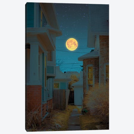 Moonlight III Canvas Print #ORZ36} by Danner Orozco Canvas Wall Art