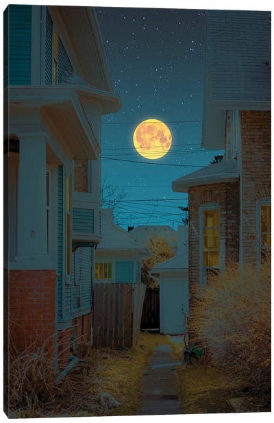 Moonlight III Canvas Art Print - Danner Orozco