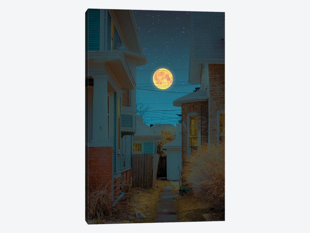 Moonlight III by Danner Orozco 1-piece Canvas Wall Art