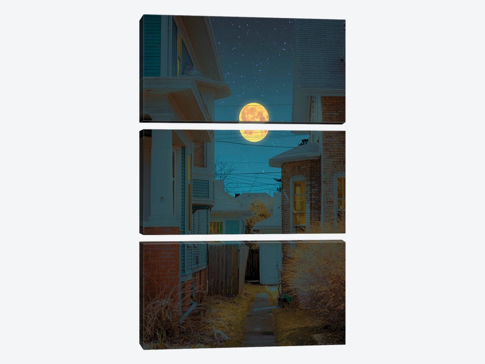 Moonlight III by Danner Orozco 3-piece Canvas Art