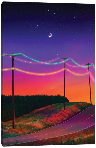 Neon Wiring Canvas Art Print - Danner Orozco