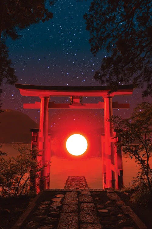 Torii by Danner Orozco wall art