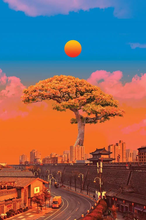 Bonsai City