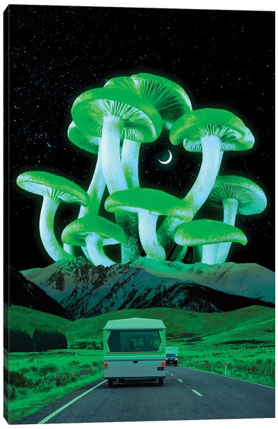 Trippy Route Canvas Art Print - Mushroom Art