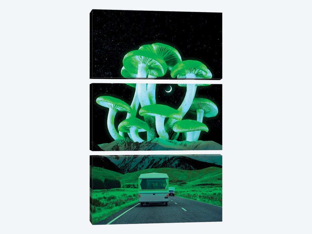 Trippy Route by Danner Orozco 3-piece Canvas Print