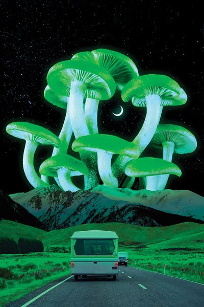 Danner Orozco: Trippy Route by Danner Orozco