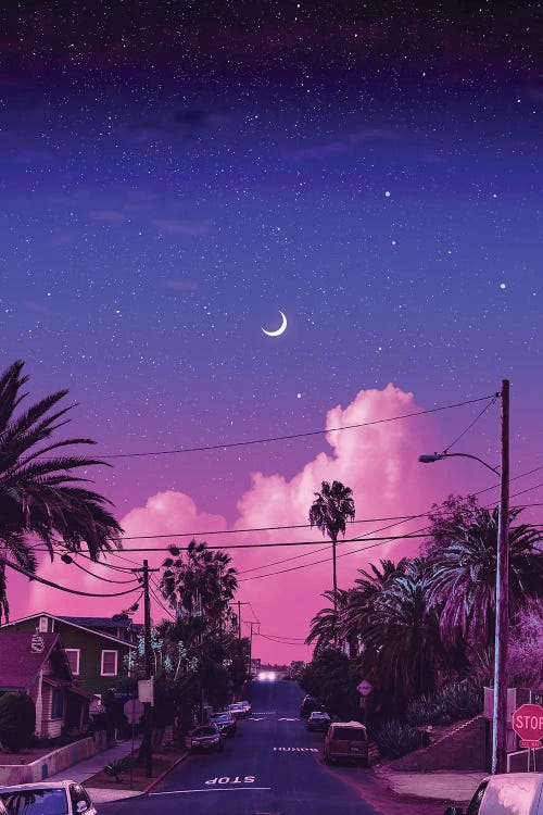 Tropics by Danner Orozco wall art