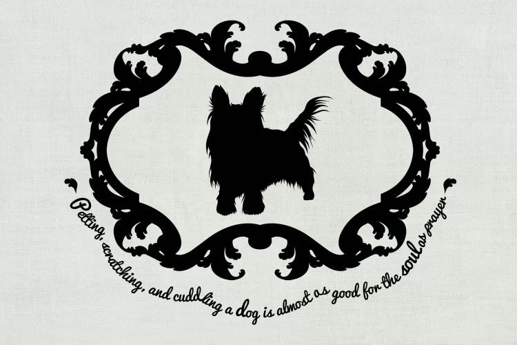 Yorkshire Terrier (Black&White)