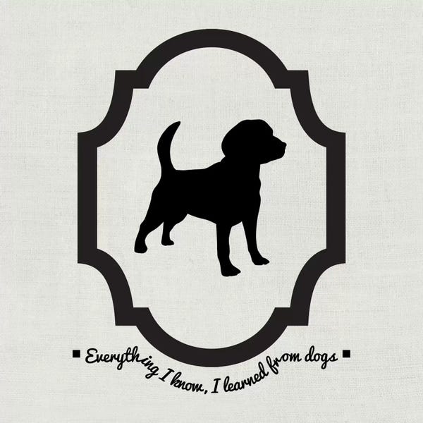 Beagles: Beagle (Black&White) by 5by5collective