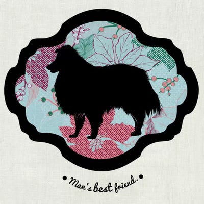 Collie (Red&Blue) II by 5by5collective framed wall art