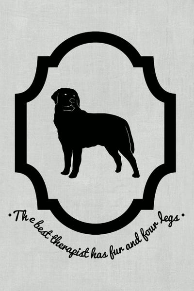 Rottweiler (Black&White) by 5by5collective framed wall art