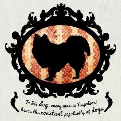 Australian Terrier II (Orange & Black) by 5by5collective canvas print