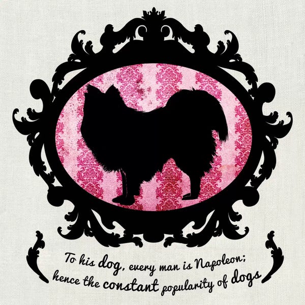 Australian Terriers: Australian Terrier (Pink&Black) II by 5by5collective