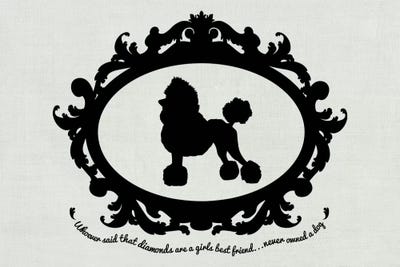 Poodle (Black&White) by 5by5collective metal wall art