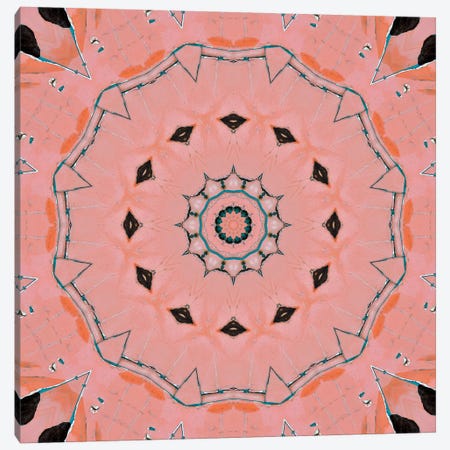 Samon Mandala IV Canvas Print #OST102} by LuAnn Ostergaard Canvas Art Print