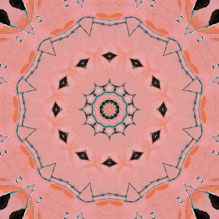 Samon Mandala IV