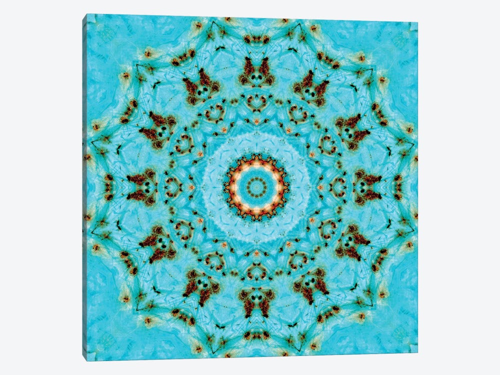 Sorairu Mandala III by LuAnn Ostergaard 1-piece Canvas Art Print