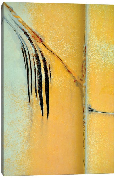 Catalpa Canvas Art Print - Yellow Art