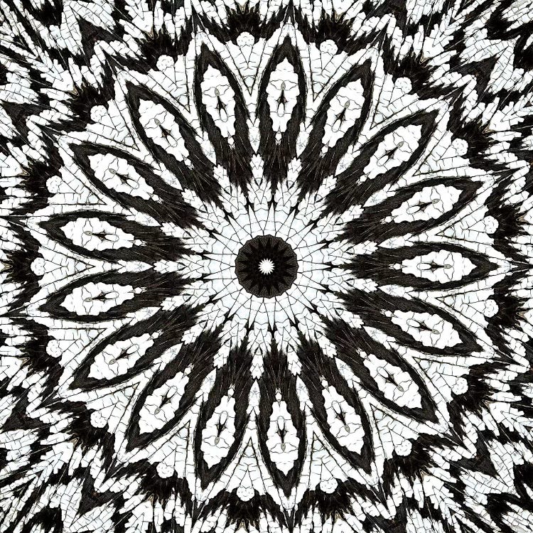 Chikara Mandala I