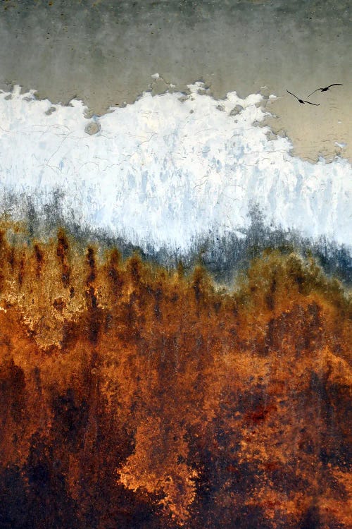 Ascendancy by LuAnn Ostergaard wall art