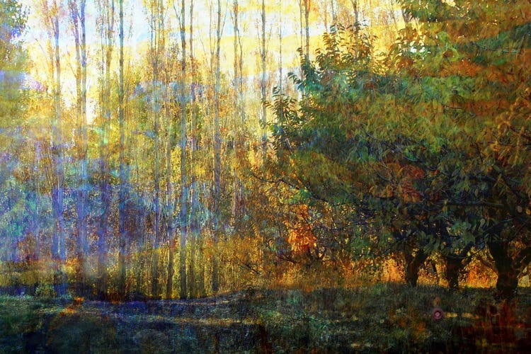 Evening Haven by LuAnn Ostergaard wall art