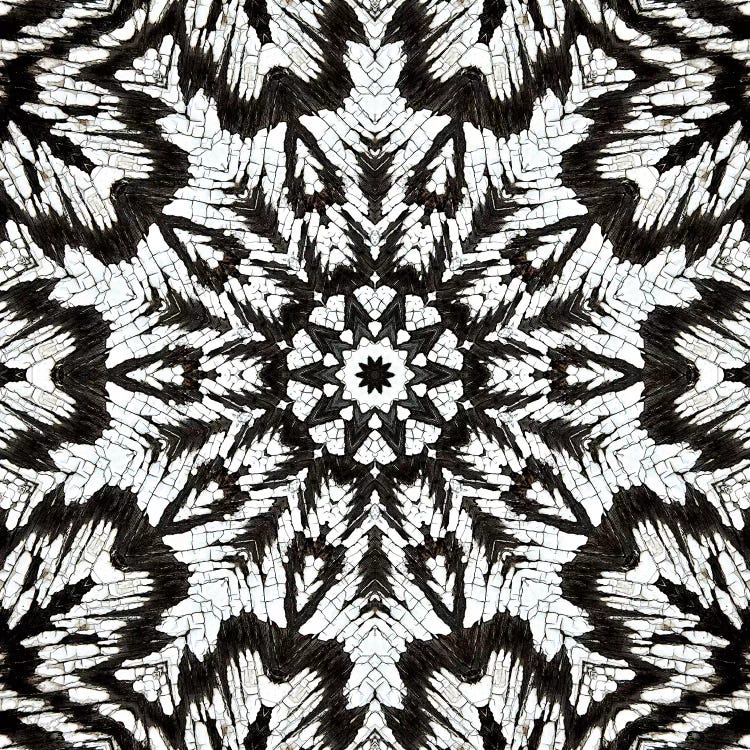Chikara Mandala II