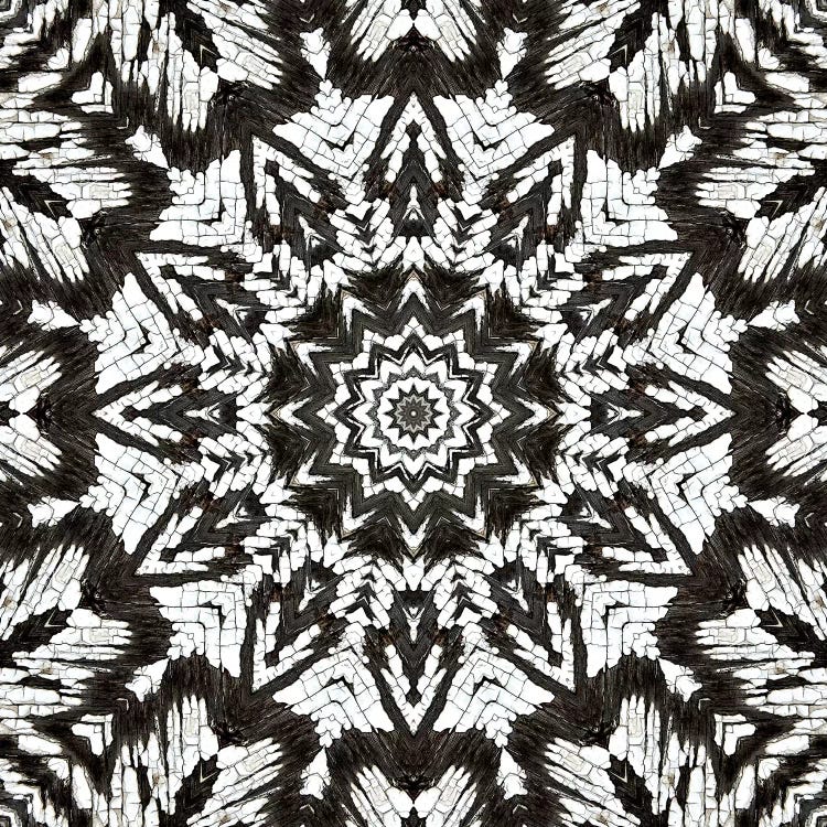 Chikara Mandala III